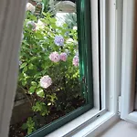 Lucija